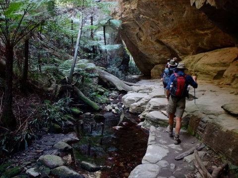 Takarakka Bush Resort Carnarvon Gorge - Accommodation Asia 6