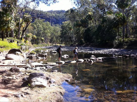 Takarakka Bush Resort Carnarvon Gorge - Accommodation Asia 9