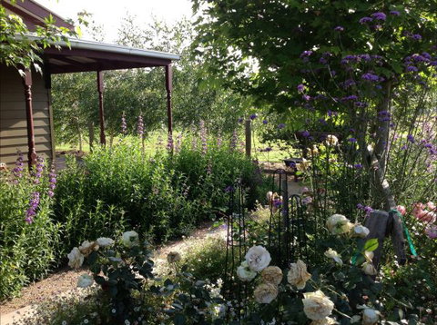 Wandana Bed And Breakfast - Accommodation China 0