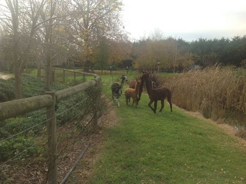 Wandana Bed And Breakfast - Accommodation China 1