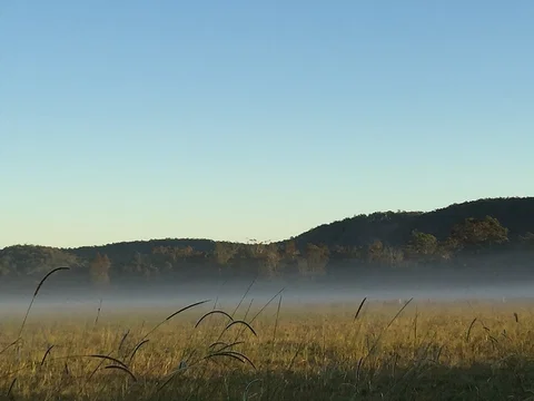 Telegraph Retreat Cottages - Accommodation Asia 1