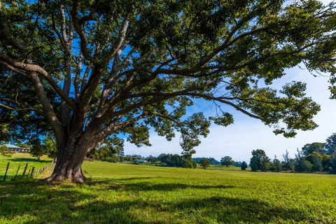 All About Me Bed And Breakfast - Accommodation Guide 8