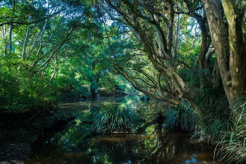 All About Me Bed And Breakfast - Accommodation Guide 9