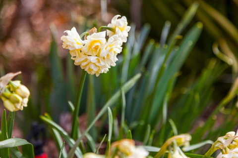 Amaroo Farm - Accommodation China 7