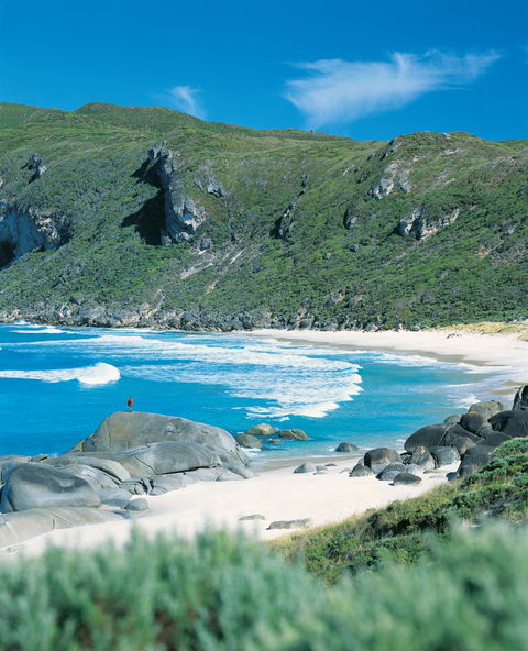 Banksia Camp At D'Entrecasteaux National Park - Accommodation Guide 0