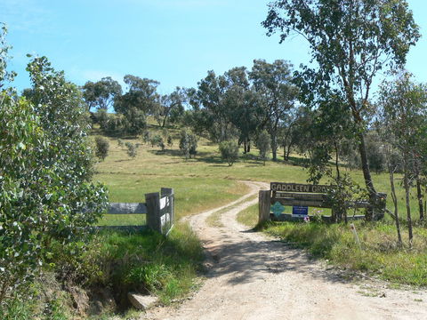 Gaddleen Grove Cottages - Accommodation Guide 3