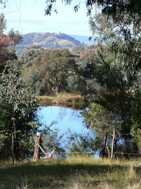 Gaddleen Grove Cottages - Accommodation Guide 6