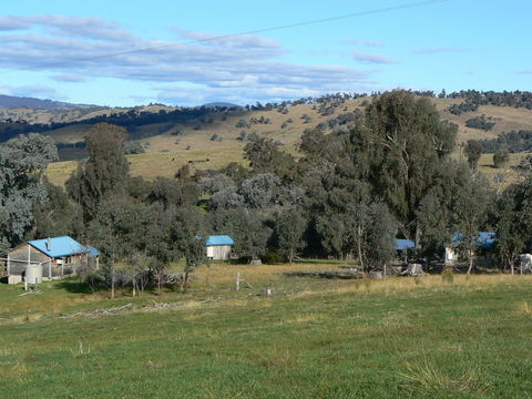 Gaddleen Grove Cottages - Accommodation Guide 7