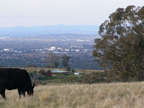 Gaddleen Grove Cottages - Accommodation Guide 8