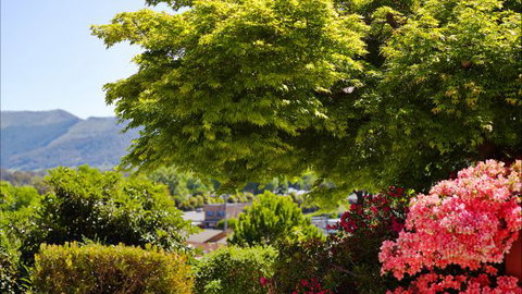 Greatview Holiday Spa Retreat For Couples - Accommodation Asia 4