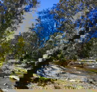 Highfield Farm and Woodland Bush Campsites - Accommodation China