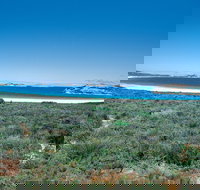 Lucky Bay Campground at Cape Le Grand National Park - Accommodation Guide