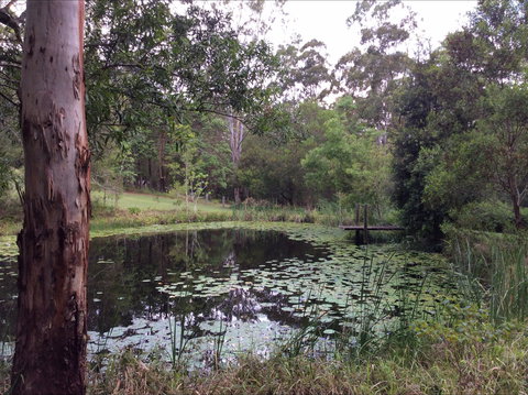 Maleny Country Cottages - Accommodation Asia 3