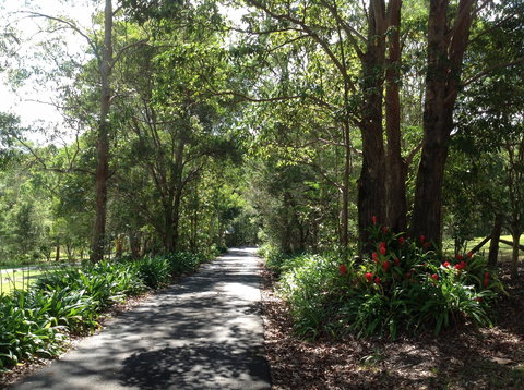 Maleny Country Cottages - Accommodation Asia 8