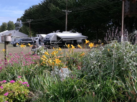 Millicent Showground RV Park - Accommodation Asia 0