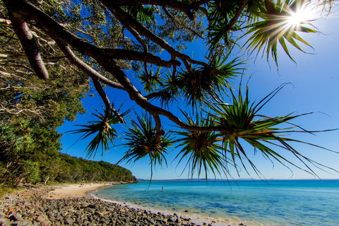 Noosa Caravan Park - Accommodation China 2