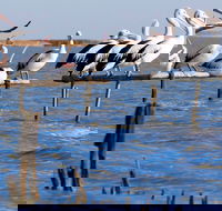 Pelican Perch Retreat - Accommodation Asia