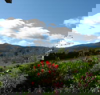 Plovers Ridge Country Retreat - Accommodation Guide