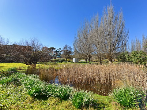 Ventnor Guest House - Accommodation China 9