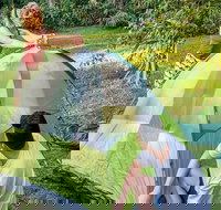 Warrabah campground and picnic area - Accommodation Asia