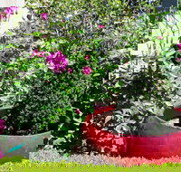 Armidale Pines Motel - Accommodation Asia