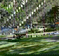 Chaelundi campground - Accommodation Asia