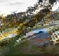 Daffodil Cottage - Accommodation Guide