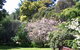 Donalea Bed & Breakfast Tasmania - thumb 3