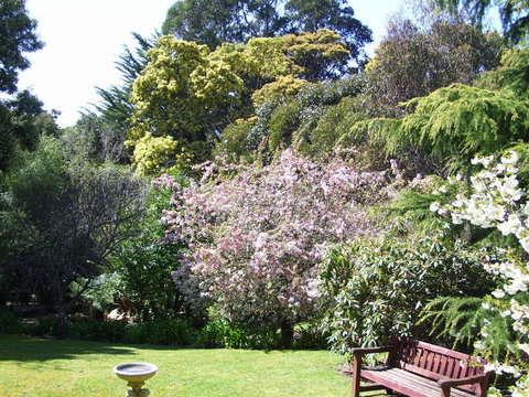 Donalea Bed & Breakfast Tasmania - Accommodation Asia 3