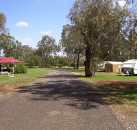 Dunedoo Caravan Park - Accommodation Guide