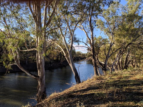 Four Mile Camping Reserve - Accommodation Asia 2