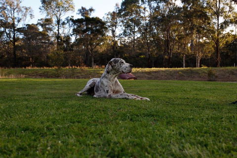 Hunter Valley Retreat - Accommodation China 0