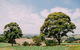 Kardella Country Homestead - thumb 9