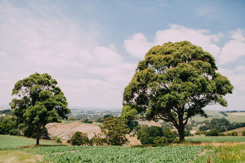 Kardella Country Homestead - Accommodation Guide 9