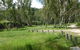 Kookibitta Campground - thumb 1