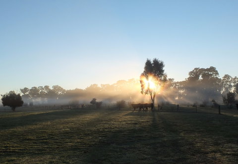Mackereth's Hedon Farm - Accommodation Asia 1