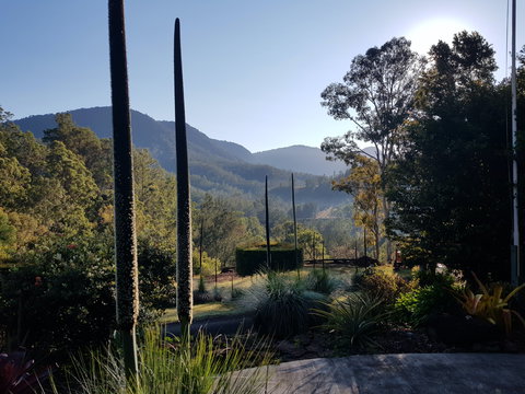 Cougal Park Bed And Breakfast - Accommodation Asia 1