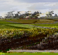 Estate Tuscany - Accommodation Guide