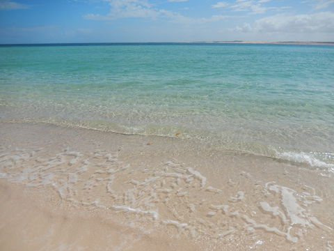 Gnaraloo Station - Accommodation Asia 0