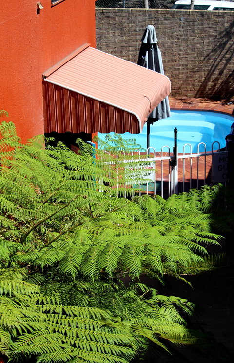 Matilda Motel - Accommodation Asia 2