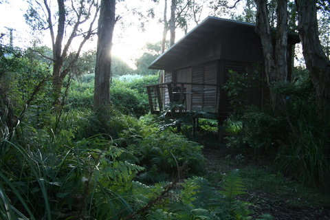 Melaleuca Surfside Backpackers - Accommodation Asia 1