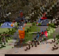 Ngarigo campground - Accommodation China