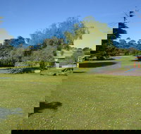 Pine Country Caravan Park - Pet Friendly - Accommodation China