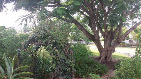 Rosehill Apartments - Accommodation Guide 2