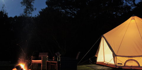 Zeehan Bush Camp - Accommodation China 1