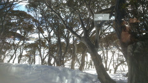 Barina Milpara Lodge - Accommodation China 1