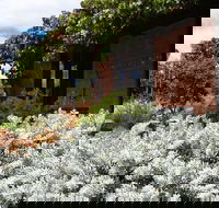 Kangaroos in the Top Paddock - Accommodation Guide