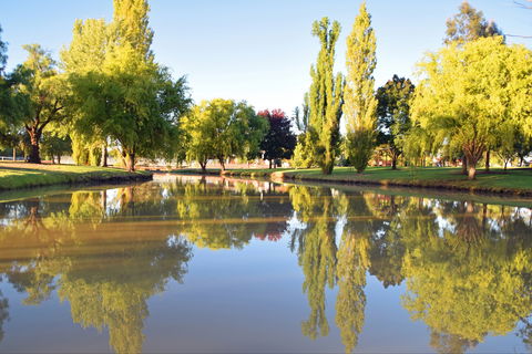 Lockhart Caravan Park - Accommodation China 0