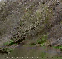 The Beach - Accommodation Guide