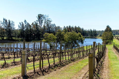 The Cottage Hunter Valley - Accommodation China 0